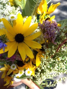 Things haven't changed much. I picked these around Elise and Roger's house a few weeks ago.