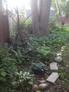 So, so, so full of weeds, punctuated by hostas