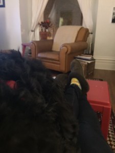 Odie's head and my slippers