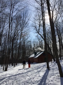 A walk through a park in Ottawa