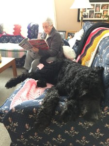 Hanging with avo usually looks like this - except add food