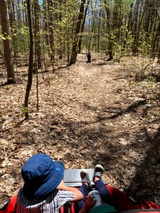 Two kids in a stroller, with a trail and dog ahead of them, in the woods.